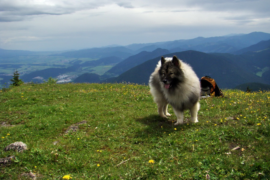 Poludnica a Krakova hoľa za jeden deň (Nízke Tatry)