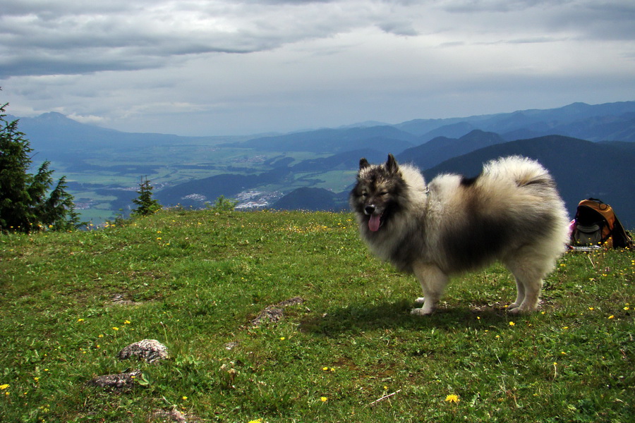 Poludnica a Krakova hoľa za jeden deň (Nízke Tatry)