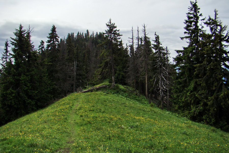 Poludnica a Krakova hoľa za jeden deň (Nízke Tatry)