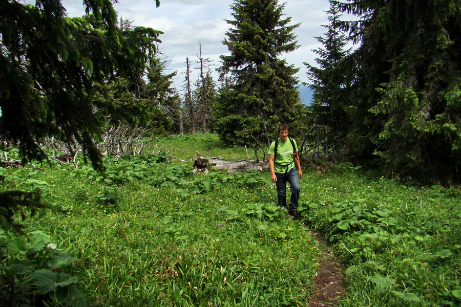 Poludnica a Krakova hoľa za jeden deň (Nízke Tatry)