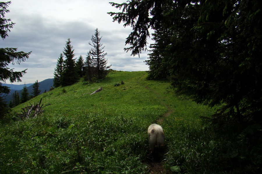 Poludnica a Krakova hoľa za jeden deň (Nízke Tatry)