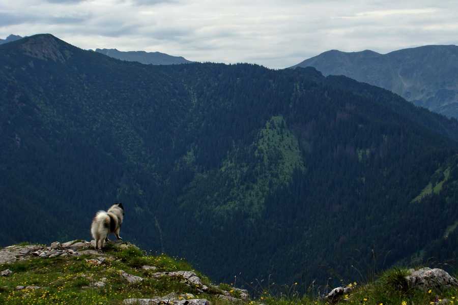 Poludnica a Krakova hoľa za jeden deň (Nízke Tatry)