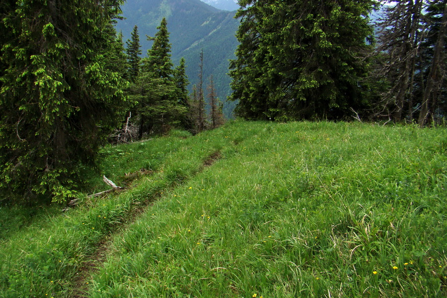 Poludnica a Krakova hoľa za jeden deň (Nízke Tatry)