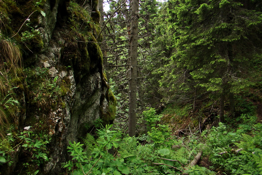 Poludnica a Krakova hoľa za jeden deň (Nízke Tatry)