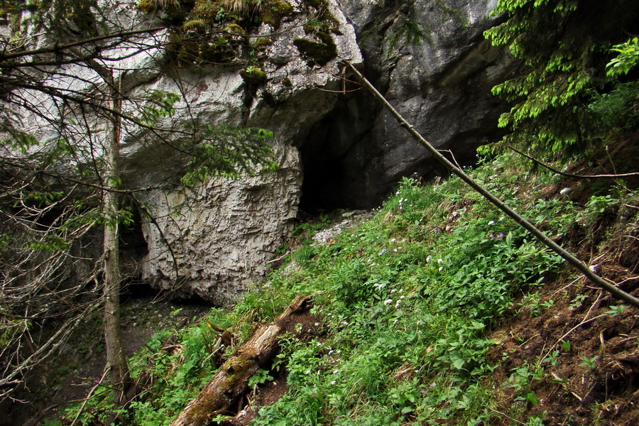 Poludnica a Krakova hoľa za jeden deň (Nízke Tatry)