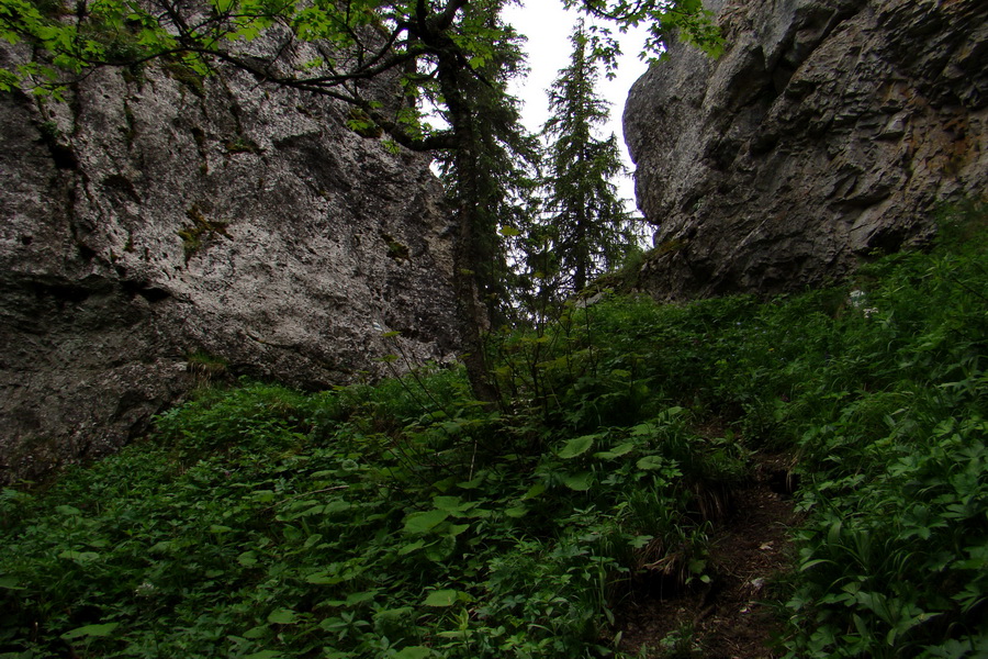 Poludnica a Krakova hoľa za jeden deň (Nízke Tatry)