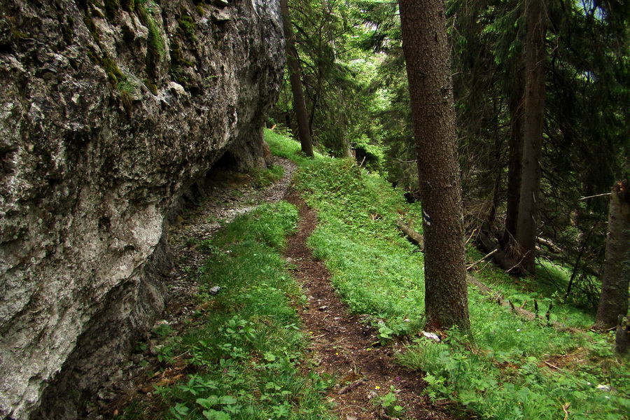 Poludnica a Krakova hoľa za jeden deň (Nízke Tatry)