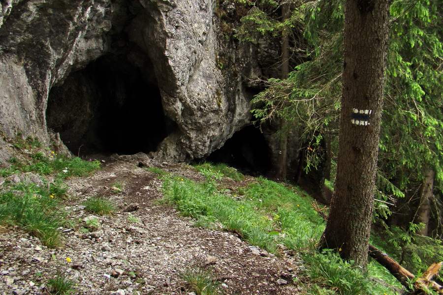 Poludnica a Krakova hoľa za jeden deň (Nízke Tatry)