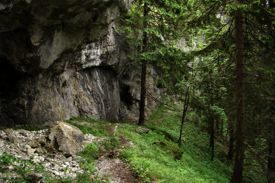 Poludnica a Krakova hoľa za jeden deň (Nízke Tatry)