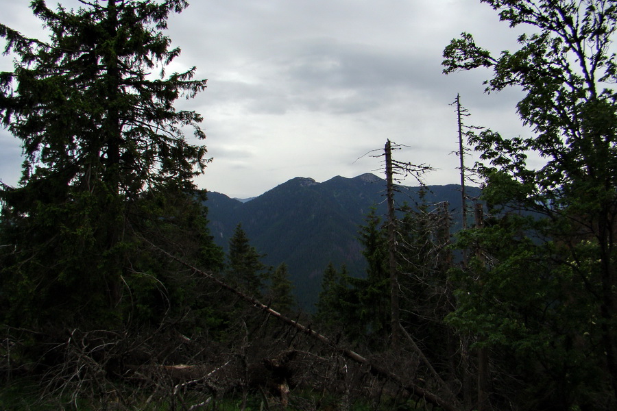 Poludnica a Krakova hoľa za jeden deň (Nízke Tatry)