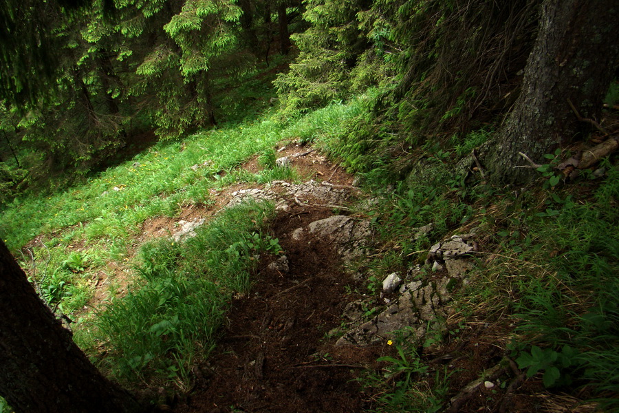 Poludnica a Krakova hoľa za jeden deň (Nízke Tatry)