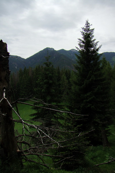 Poludnica a Krakova hoľa za jeden deň (Nízke Tatry)