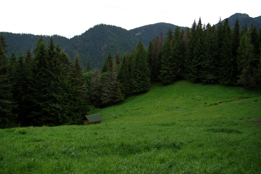 Poludnica a Krakova hoľa za jeden deň (Nízke Tatry)