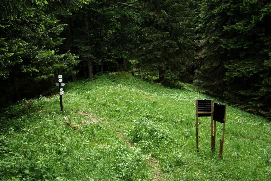 Poludnica a Krakova hoľa za jeden deň (Nízke Tatry)