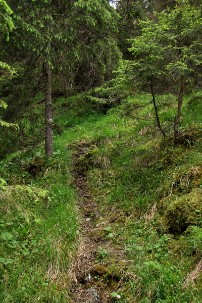 Poludnica a Krakova hoľa za jeden deň (Nízke Tatry)