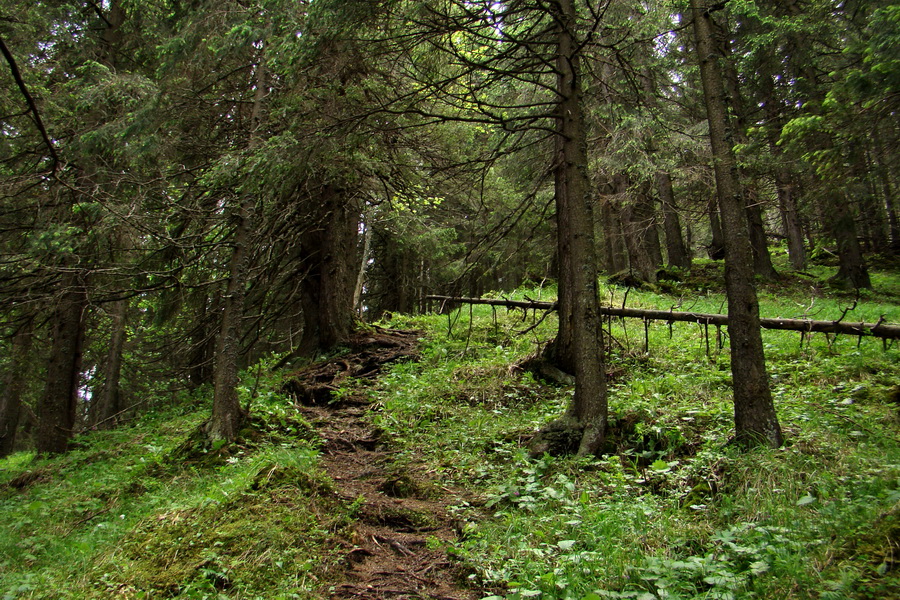 Poludnica a Krakova hoľa za jeden deň (Nízke Tatry)