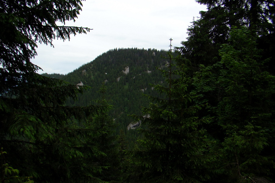 Poludnica a Krakova hoľa za jeden deň (Nízke Tatry)