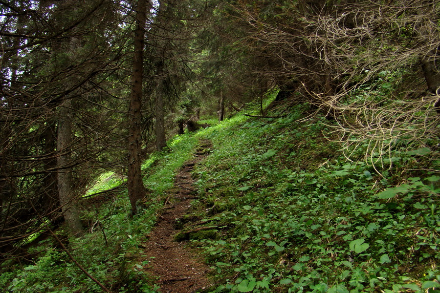 Poludnica a Krakova hoľa za jeden deň (Nízke Tatry)