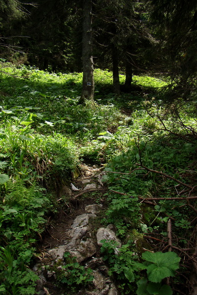 Poludnica a Krakova hoľa za jeden deň (Nízke Tatry)