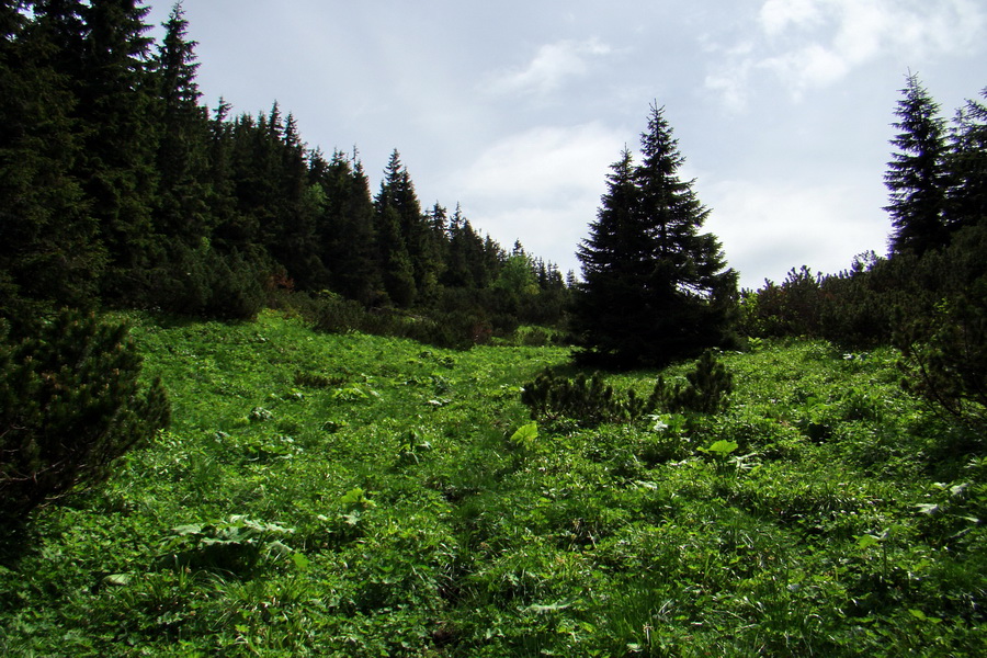 Poludnica a Krakova hoľa za jeden deň (Nízke Tatry)