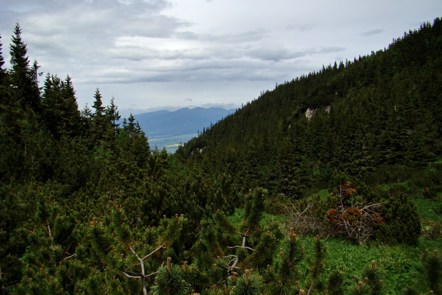 Poludnica a Krakova hoľa za jeden deň (Nízke Tatry)