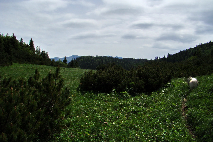 Poludnica a Krakova hoľa za jeden deň (Nízke Tatry)