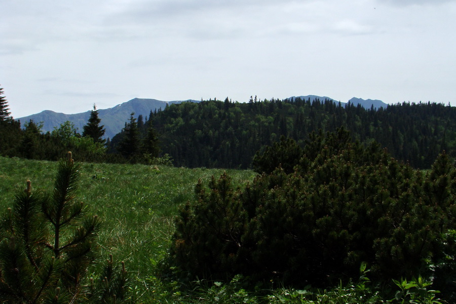 Poludnica a Krakova hoľa za jeden deň (Nízke Tatry)