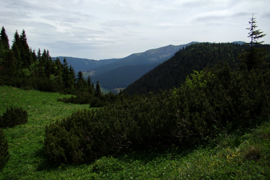 Poludnica a Krakova hoľa za jeden deň (Nízke Tatry)