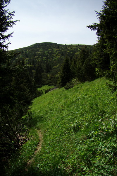 Poludnica a Krakova hoľa za jeden deň (Nízke Tatry)