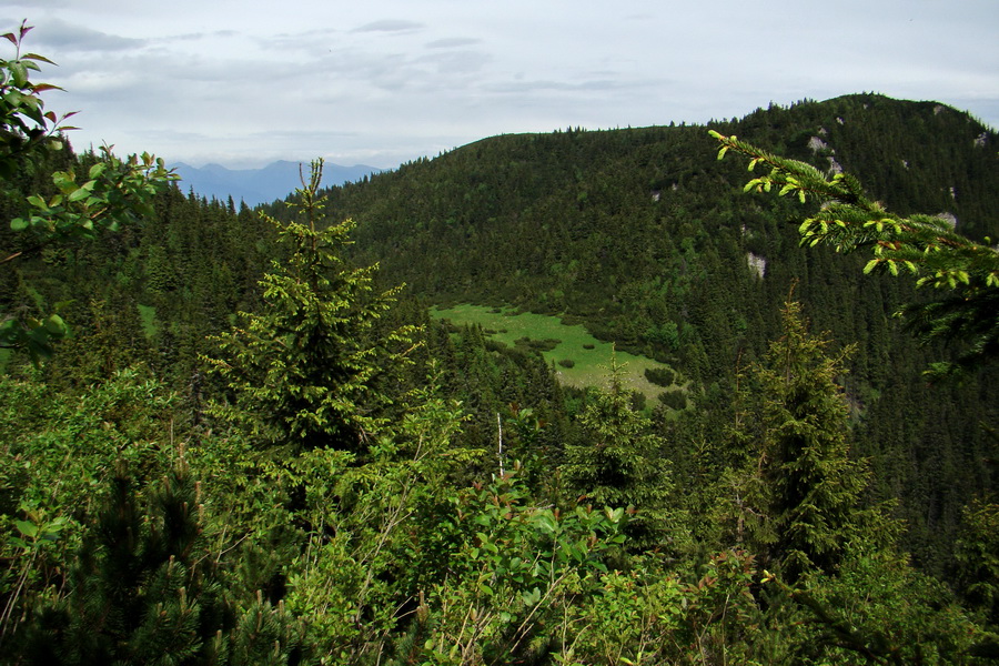 Poludnica a Krakova hoľa za jeden deň (Nízke Tatry)