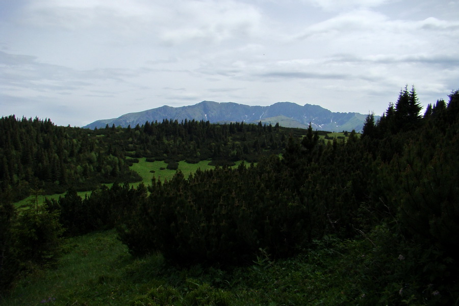 Poludnica a Krakova hoľa za jeden deň (Nízke Tatry)