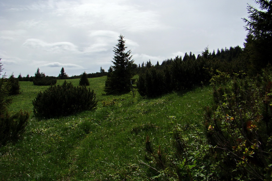 Poludnica a Krakova hoľa za jeden deň (Nízke Tatry)