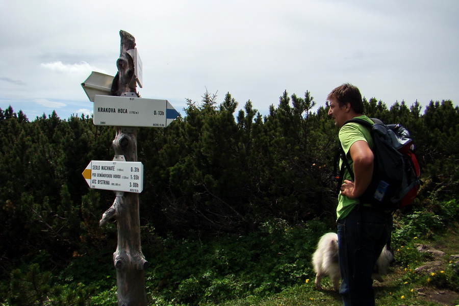 Poludnica a Krakova hoľa za jeden deň (Nízke Tatry)