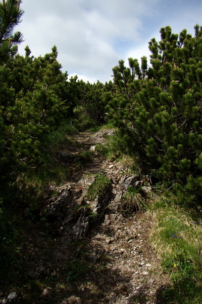 Poludnica a Krakova hoľa za jeden deň (Nízke Tatry)