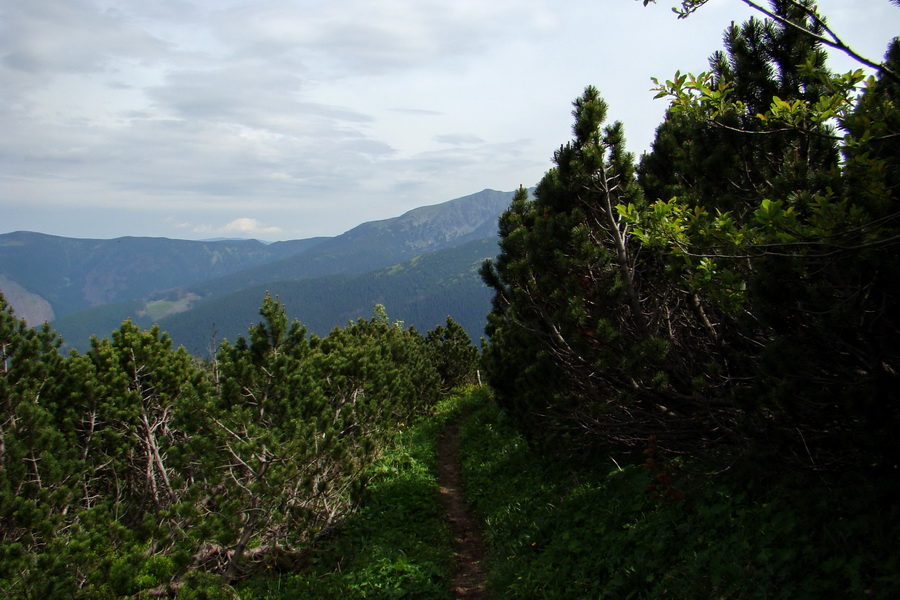 Poludnica a Krakova hoľa za jeden deň (Nízke Tatry)