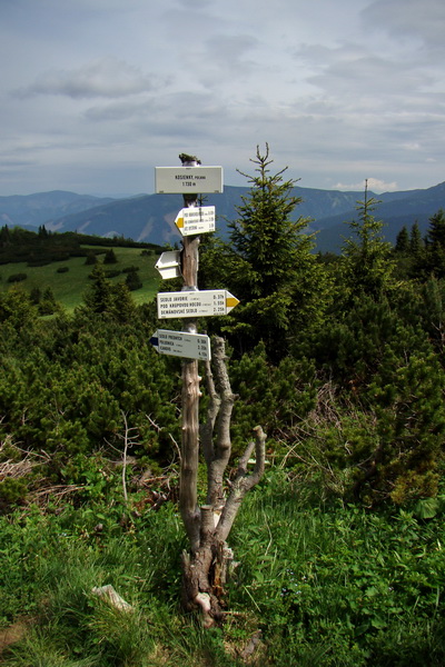 Poludnica a Krakova hoľa za jeden deň (Nízke Tatry)