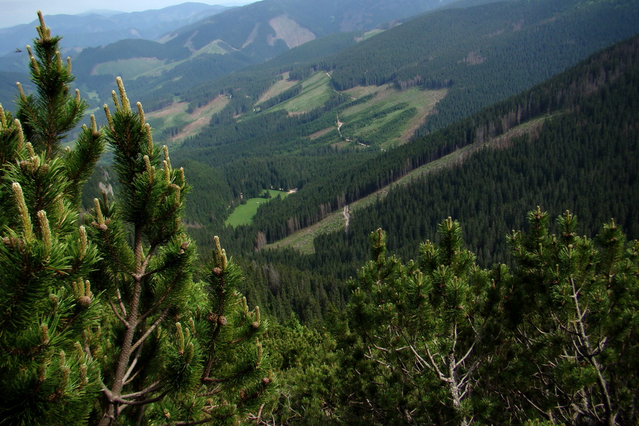 Poludnica a Krakova hoľa za jeden deň (Nízke Tatry)