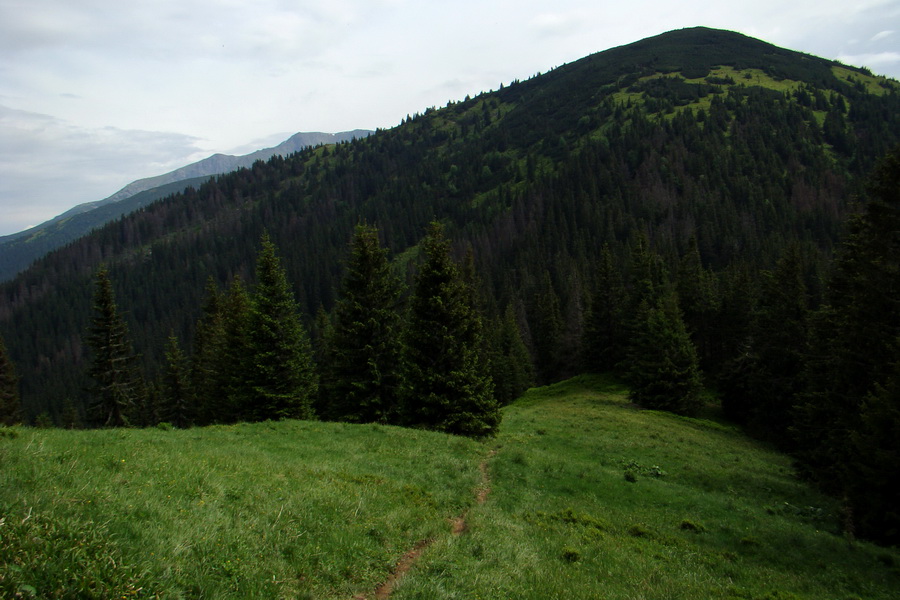 Poludnica a Krakova hoľa za jeden deň (Nízke Tatry)