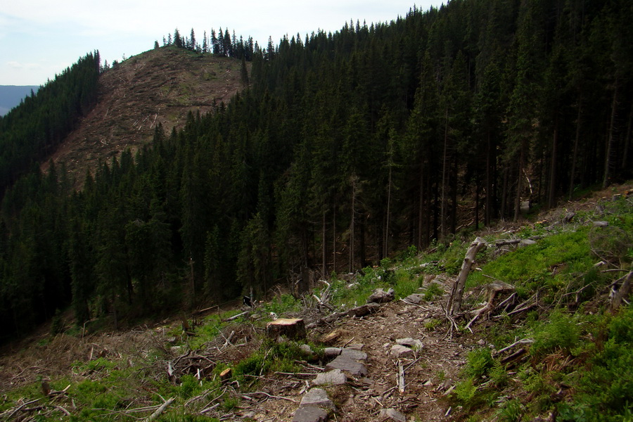 Poludnica a Krakova hoľa za jeden deň (Nízke Tatry)