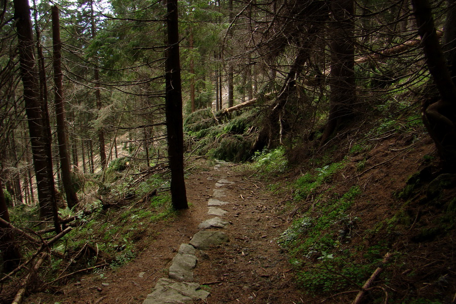 Poludnica a Krakova hoľa za jeden deň (Nízke Tatry)