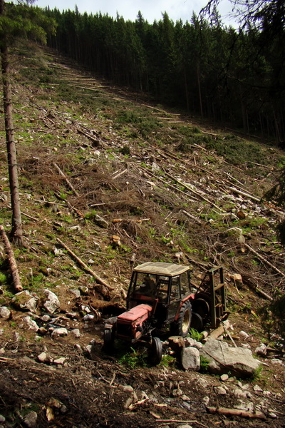 Poludnica a Krakova hoľa za jeden deň (Nízke Tatry)