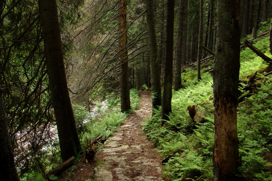 Poludnica a Krakova hoľa za jeden deň (Nízke Tatry)