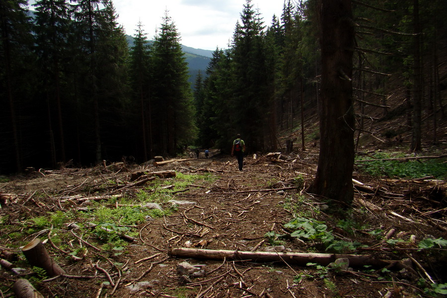 Poludnica a Krakova hoľa za jeden deň (Nízke Tatry)