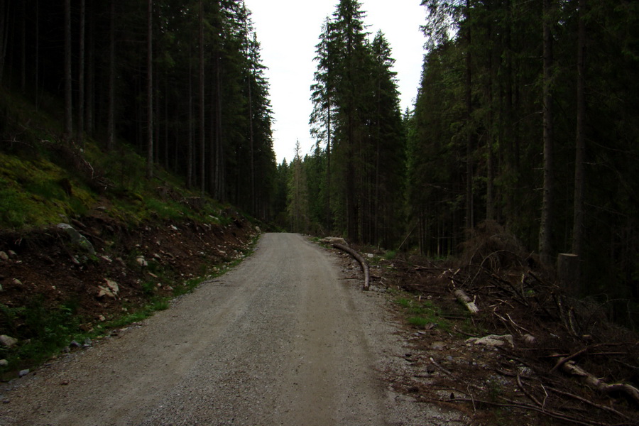 Poludnica a Krakova hoľa za jeden deň (Nízke Tatry)