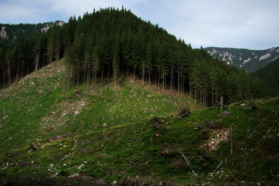 Poludnica a Krakova hoľa za jeden deň (Nízke Tatry)