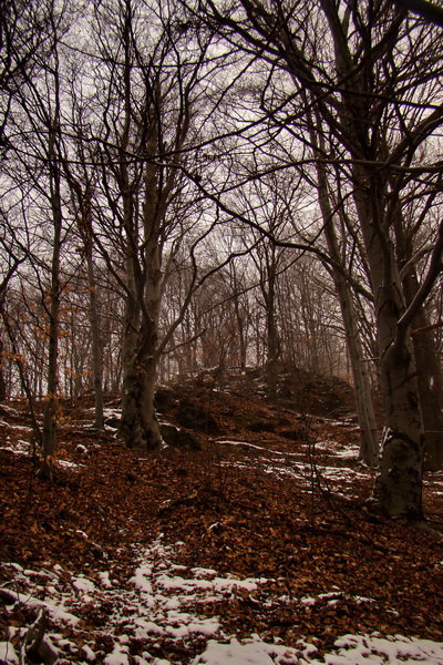 Roháčka z Margecian (Čierna hora)