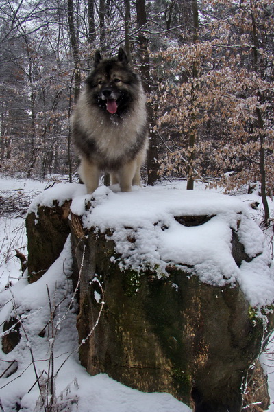 Roháčka z Margecian (Čierna hora)