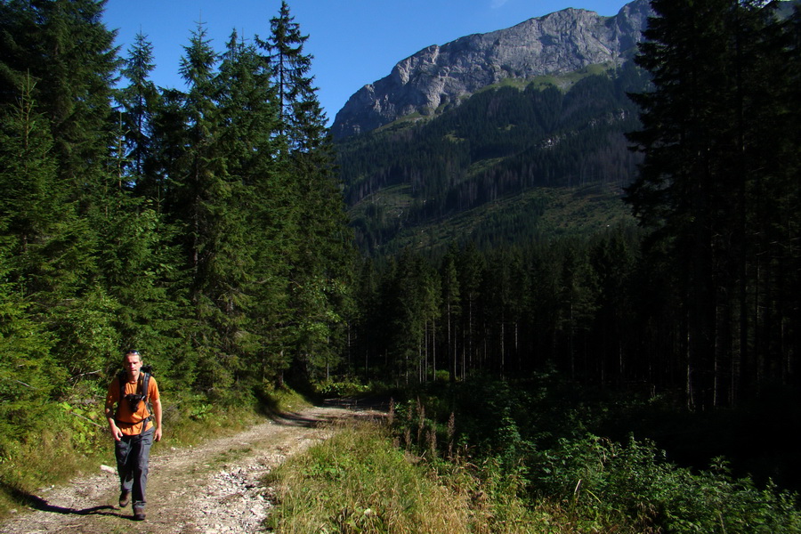 sedlo Sedielko z Tatranskej Javoriny (Vysoké Tatry)