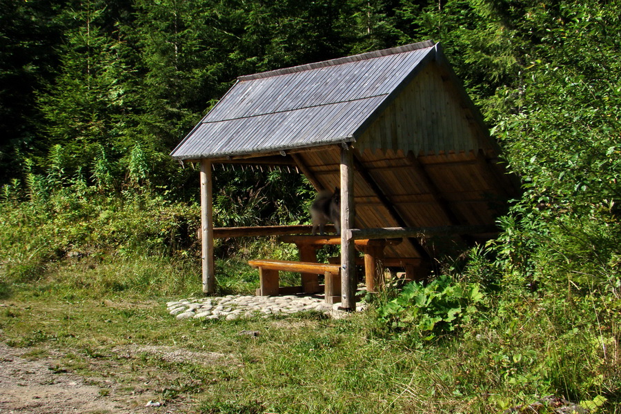 sedlo Sedielko z Tatranskej Javoriny (Vysoké Tatry)