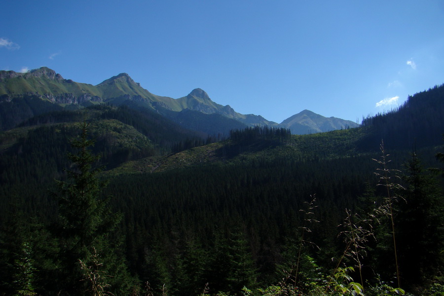 sedlo Sedielko z Tatranskej Javoriny (Vysoké Tatry)